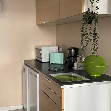 30 M2 Avec Jardin Dans Maison De Maitre Apartment