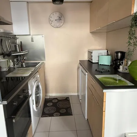 30 M2 Avec Jardin Dans Maison De Maitre Beziers